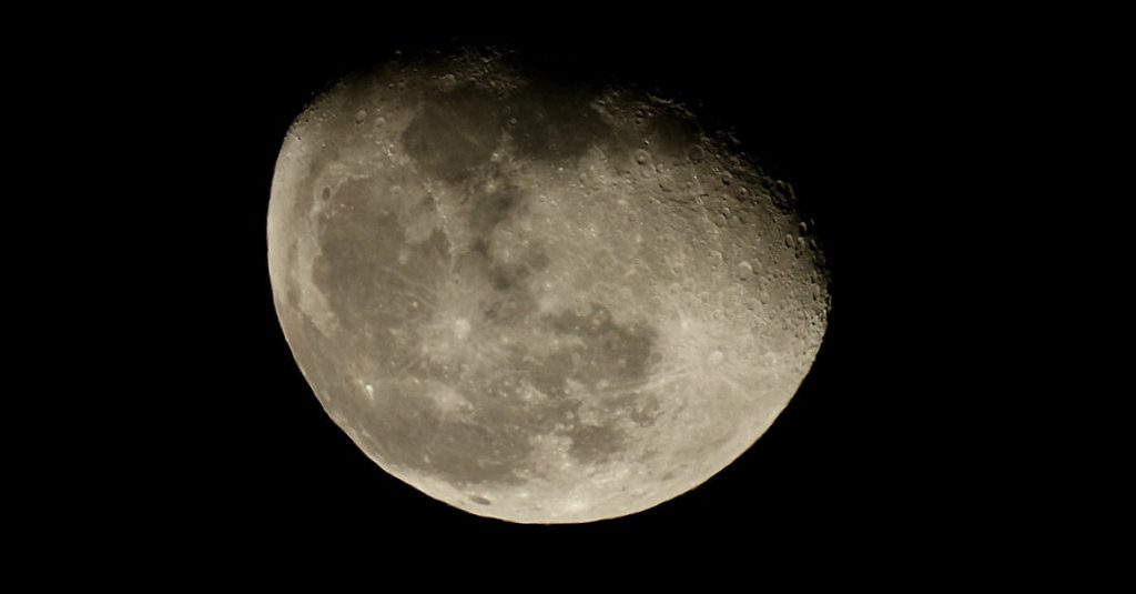 Melina Trump Token: Crypto Meme Rocket Primed for Liftoff 6 moon